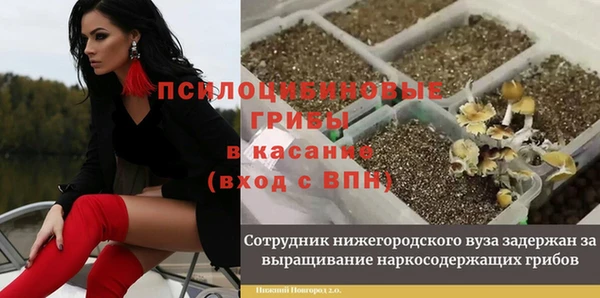 mdpv Магас